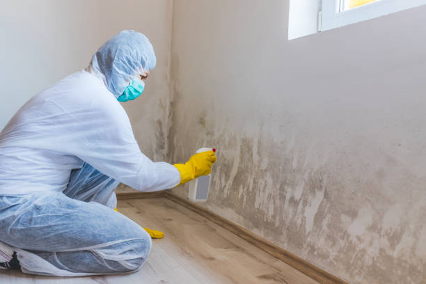Mold Remediation specialist working in Odessa